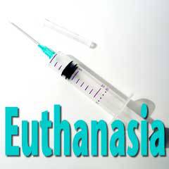 07-euthanasia.jpg