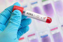 Phòng ngừa cúm gia cầm H1N1